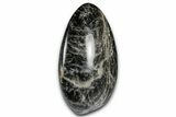 Polished Free-Standing Black Moonstone - Madagascar #348962-1